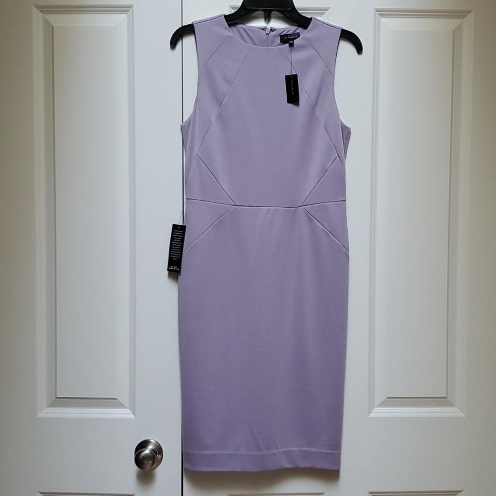 The Limited dress 4